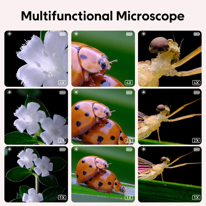 Mini Electronic Microscope